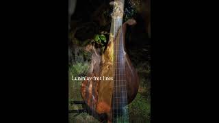 38” scale 5 string fretless bass played by Daniel Brunn bassguitar fretless bassist basssolo [upl. by Nossila]