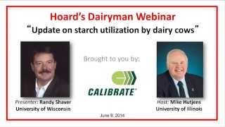 Update on starch utilization by dairy cows [upl. by Ogren]