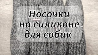 Носочки для собак на силиконе [upl. by Wolfgang]