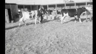 Pittsworth show 1960s [upl. by Derfliw]