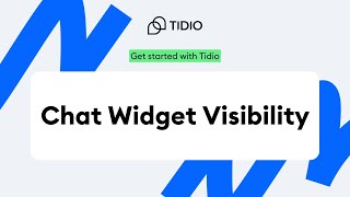 Tidio Chatbot Widget Visibility I Full tutorial  Tidio onboarding [upl. by Narmak]