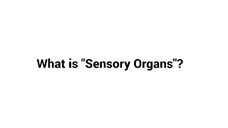 What is Sensory Organs [upl. by Aerol808]