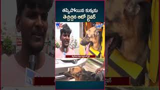 iSmart News  తప్పిపోయిన కుక్కను తెచ్చిచ్చిన ఆటో డ్రైవర్  Auto Driver Fetched The Lost Dog TV9 [upl. by Cypro]