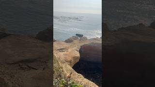 Devil’s Punchbowl  Stirred not shaken oregoncoast [upl. by Ytak233]