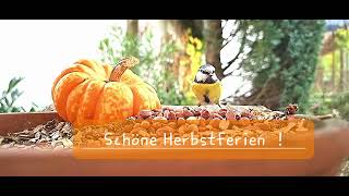 Schöne Herbstferien [upl. by Filbert751]