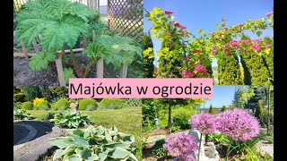 Majówka w Ogrodzie Jadzi Kwitnie wiele krzewów i bylin Ogród Jadzi 194 [upl. by Naloj345]