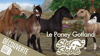 Le Poney Gotland Mon Avis  Star Stable  SSO [upl. by Linette]