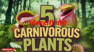 5 Carnivorous Plants [upl. by Nahsrad]