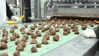 Malleys chocolatecovered strawberries factory tour [upl. by Witherspoon]