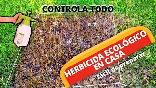 Cómo Preparar Un HERBICIDA CASERO NATURAL 100 ECOLÓGICO  Herbicida Orgánico [upl. by Mcgurn]