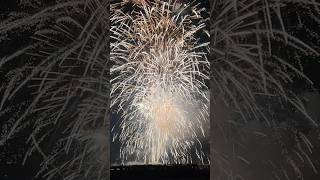 CARMINE LIETO ADELFIA 2024 beautiful fireworks bestgrandfinalefireworks perte fuochidartificio [upl. by Nace]