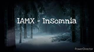 IAMX Insomnia  Lyrics [upl. by Aspasia449]