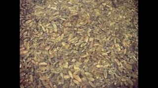 How to cook freekeh [upl. by Aimil]