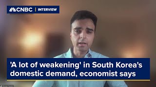 A lot of weakening in South Koreas domestic demand economist says [upl. by Aerdnahs880]