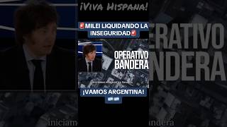 🚨MILEI LIQUIDANDO LA INSEGURIDAD🚨argentina milei inseguridad libertad politica noticias [upl. by Tempest427]