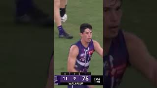 Fremantle Collingwood 2024 DRAW Theme Song afl collingwood fremantle draw [upl. by Onaled437]