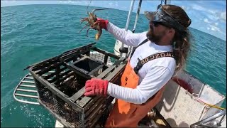 Lobster Mac and Cheese Catch and Cook with a Microwave [upl. by Jaehne]