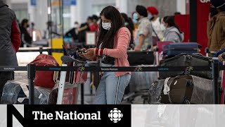 Canada expands travel bans testing requirements over omicron variant [upl. by Anstice]