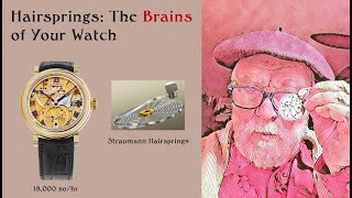 How Your Watch Works and the Role of the Hairspring [upl. by Loella]