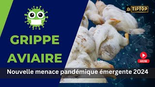 Grippe aviaire  Nouvelle menace pandémique émergente 2024 [upl. by Nnaj]