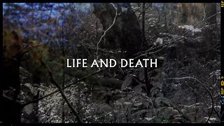 Metronomy  Life and Death Lyric Video [upl. by Attikin720]