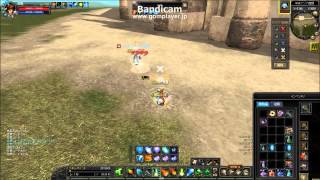 Silkroad Online FreeBattle Lvl110 WizardCleric vs Lvl110 WarriorCleric [upl. by Buke]