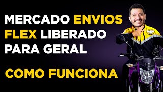 Tudo sobre o Mercado Envios Flex Como Funciona o Motoboy do Mercado Livre [upl. by Hanid843]