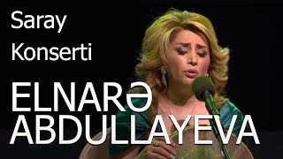 Elnarə Abdullayeva  Aşıq Əli Duet  Zəfər Çalacağıq Adlı Solo Saray Konserti 2015 [upl. by Cooper]