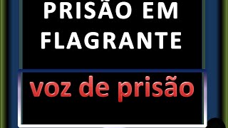 PRISÃO EM FLAGRANTE [upl. by Legir]