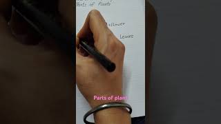 How to draw plant parts of plantdrawing art preschool youtube viralvideo [upl. by Eidur]