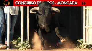 CONCURSO ESPECIAL DE TOROS DE CORRO EN MONCADA 02032019 [upl. by Binah258]