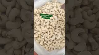 Cashew supplierscashew wholesale marketcashew suppliers in contai west bengalkaju supplier [upl. by Aianat721]