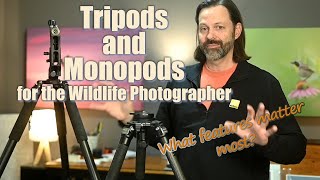 Monopods and Tripods for Wildlife What I Look for [upl. by Bannister497]