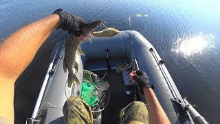 Джеркбейт или Воблерчасть 2 Jerkbait pike Fish volgaspintv [upl. by Pedrick49]