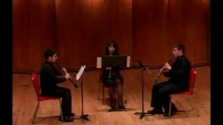 Joseph Friedrich Hummel  Trio for Clarinets [upl. by Silrak]