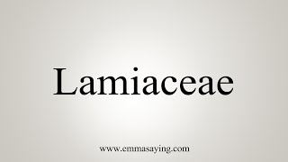 How To Say Lamiaceae [upl. by Sid398]