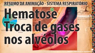 Hematose  Troca de gases [upl. by Mossberg]