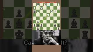 ✨ Brilliant ComboTal Edit✨🔥mikhailtal chess chessgrandmaster [upl. by Ahslek]