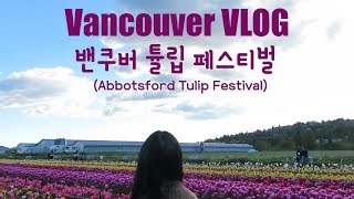 5 브이로그 밴쿠버 아포츠포드 튤립페스티벌 튤립축제 캐나다 유학생 캐나다 브이로그  VLOG Vancouver Abbotsford Tulip Festival [upl. by Eiralih213]