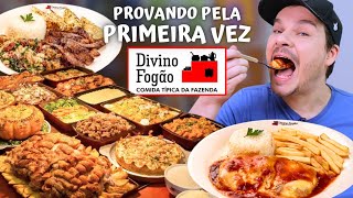 PROVAMOS PELA PRIMEIRA VEZ AS COMIDAS DO DIVINO FOGÃO  Vale a pena [upl. by Gertrud]