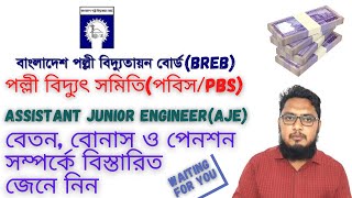 BREBPBS AJE SalaryBonus and Pension Detailsপবিস এর AJE বেতনবোনাস ও পেনশন সম্পর্কে বিস্তারিত [upl. by Salina]