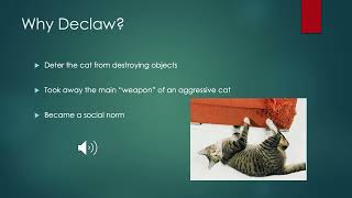 Declawing Onychectomy in Cats An Overview [upl. by Argile]