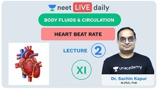 Body Fluids amp Circulation  Lecture 2  Unacademy NEET  LIVE DAILY  NEET Biology  Dr Sachin Kapur [upl. by Anabelle]