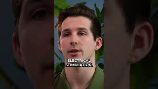 Different Types of Electrical Stimulation [upl. by Annayoj]