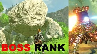 Top Overworld Bosses in BOTW [upl. by Sivet]