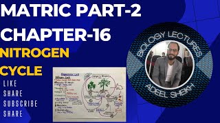 Man and His Environment  Biogeochemical Cycle Nitrogen Cycle Matric Class 10 BiologyUrdu\Hindi [upl. by Ahsied]