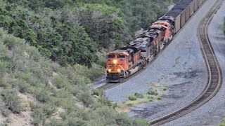 A BNSF coal train fighting the grade climbing up Soldier Summit [upl. by Randolph]