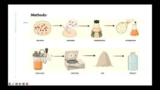 Biodegradable plastics engineering a bioplastic producing ecoli factory [upl. by Adniralc]