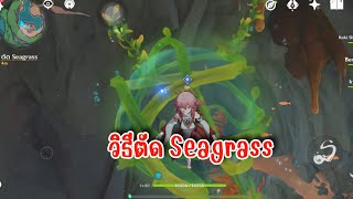 Genshin impact วิธีตัด Seagrass [upl. by Aiuqcaj]