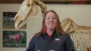 Horses Inside Out Understanding Orthopaedic Problems with Dr Jessica Kidd [upl. by Cypro]